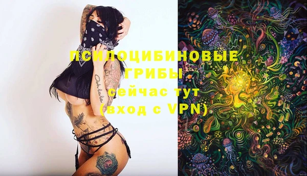 spice Кедровый