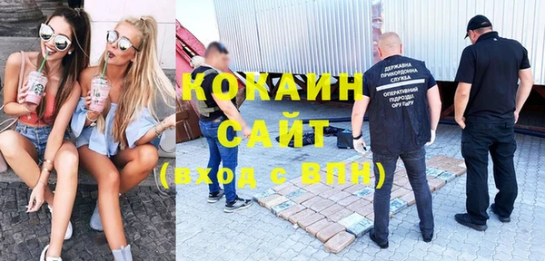 ГАЛЛЮЦИНОГЕННЫЕ ГРИБЫ Пестово