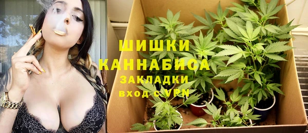 сатива Переславль-Залесский