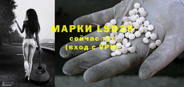 гидра Пересвет